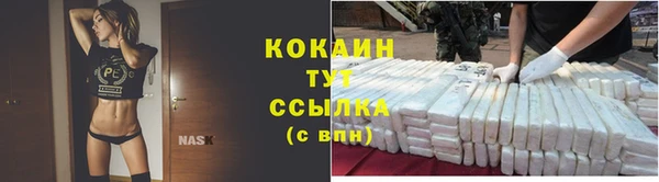 2c-b Краснослободск