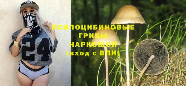 2c-b Краснослободск