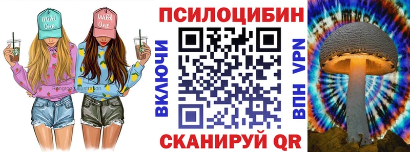 Купить закладки  Сухой Лог  Галлюциногенные грибы Magic Shrooms 